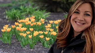 Exciting Windy Weeding Day! 😂🌿 ( Mini Bulb Tour!) 🌷 // Garden Answer