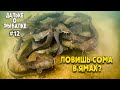 Правильно ли ловить сома в ямах? Виталий #Дальке о рыбалке на сома нр. 12