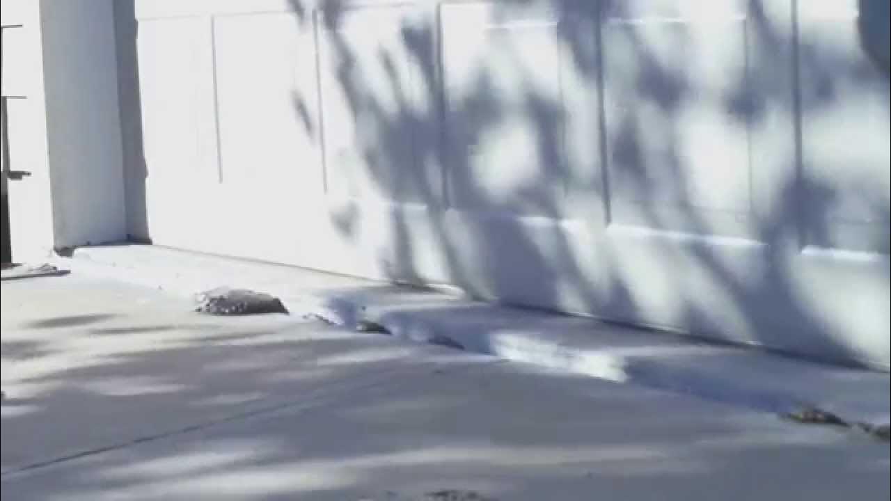 Mudjacking Kansas City Driveway Being Lifted by Master Mudjackers