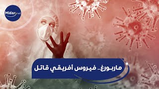 ماذا نعرف عن فيروس ماربورغ وماهي طرق الوقاية منه؟