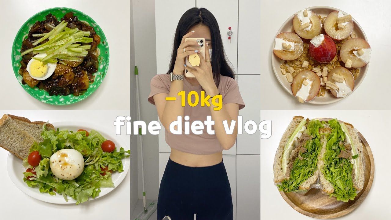 SUB)🧆 맛이 없을 수 없는 지속가능한 다이어트식단 요리브이로그(해초비빔밥,짜장면,그릭자두,불고기샌드위치)mukbang|food vlog|간헐적단식|slow diet|건강식