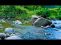 RELAXING SOUNDS FOR SLEEPING | TRANQUIL FOREST WATER FLOW FOR SLEEPING, RELAXATION AND MEDITATION #a
