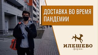 Доставка фермерских продуктов в условиях коронавирусной инфекции