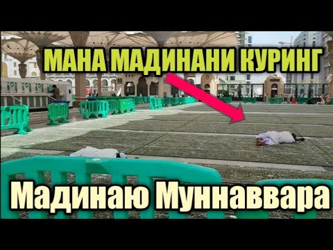 Video: Гавайиде унаа номерлери канча турат?