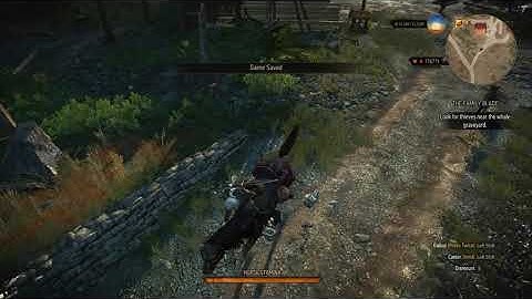 The Witcher 3 - Horse Collision Bug