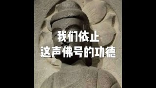 202001 我们依止这声佛号的功德51413