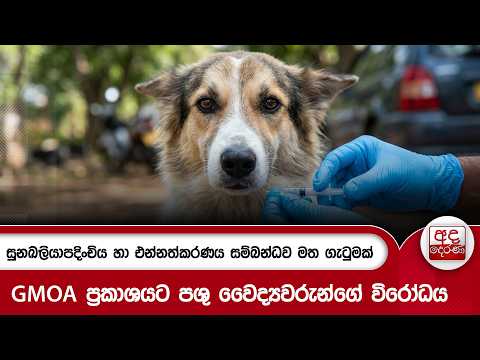 සුනඛ ලියාපදිංචිය හා එන්නත්කරණය සම්බන්ධව මත ගැටුමක් | Ada Derana