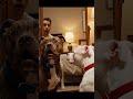 FUNNY PITBULLS Who is that handsome guy