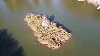 Meadowbrook Lake Park in Stow, OH