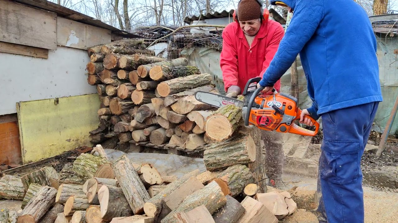 Tai lemn cu cea mai șmecheră drujba de 50cc