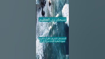 المصحف الشريف القرآن الكريم سورة البقرة الآيات من٤٩ إلى٥٢ #المصحف_الشريف #القرآن_الكريم #سورة_البقرة