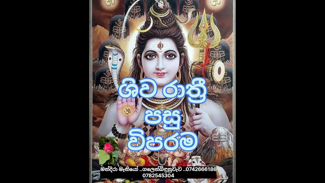 🔱ශිව රාත්‍රියෙන් පසු මොකද වෙන්නේ..🤔🤔