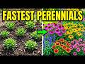 First-Year Blooms? 5 Perennials That Won't Keep You Waiting Mp3 Song
