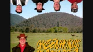 Greenhorns - Big John chords