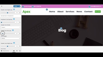 Apex Business WordPress Theme Header And Navigation Setup