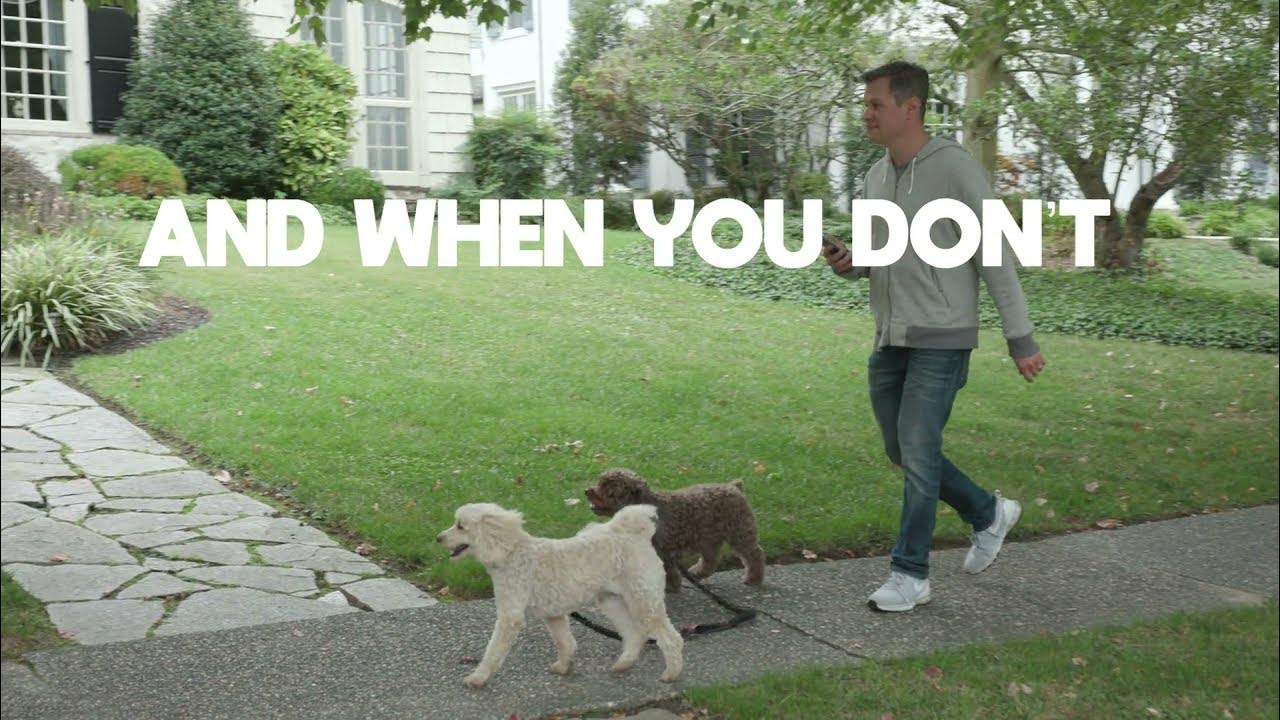 Besties Leash for Two Dogs, Two Dogs One Leash! YouTube