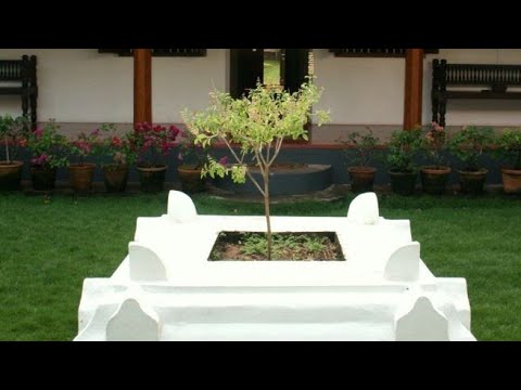 Tulsi Pot Design & Planting