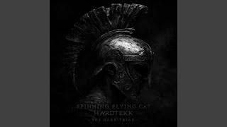 SPINNING FLYING CAT HARDTEKK