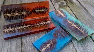 : DIY Pine Cone And Resin Scale / Blank