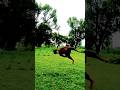 #flip💔 #flipper😥 #teambackflip #lovesongs #musiclove#stunt #backflip #comedyvideos#love #funnyreels