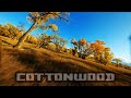 COTTONWOOD | Oct-03-2023 | #NOSTAB