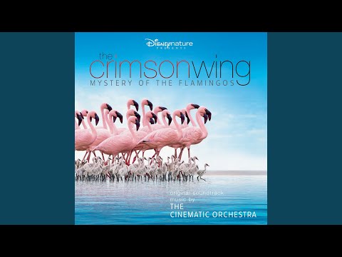 Putar Exodus - The Cinematic Orchestra