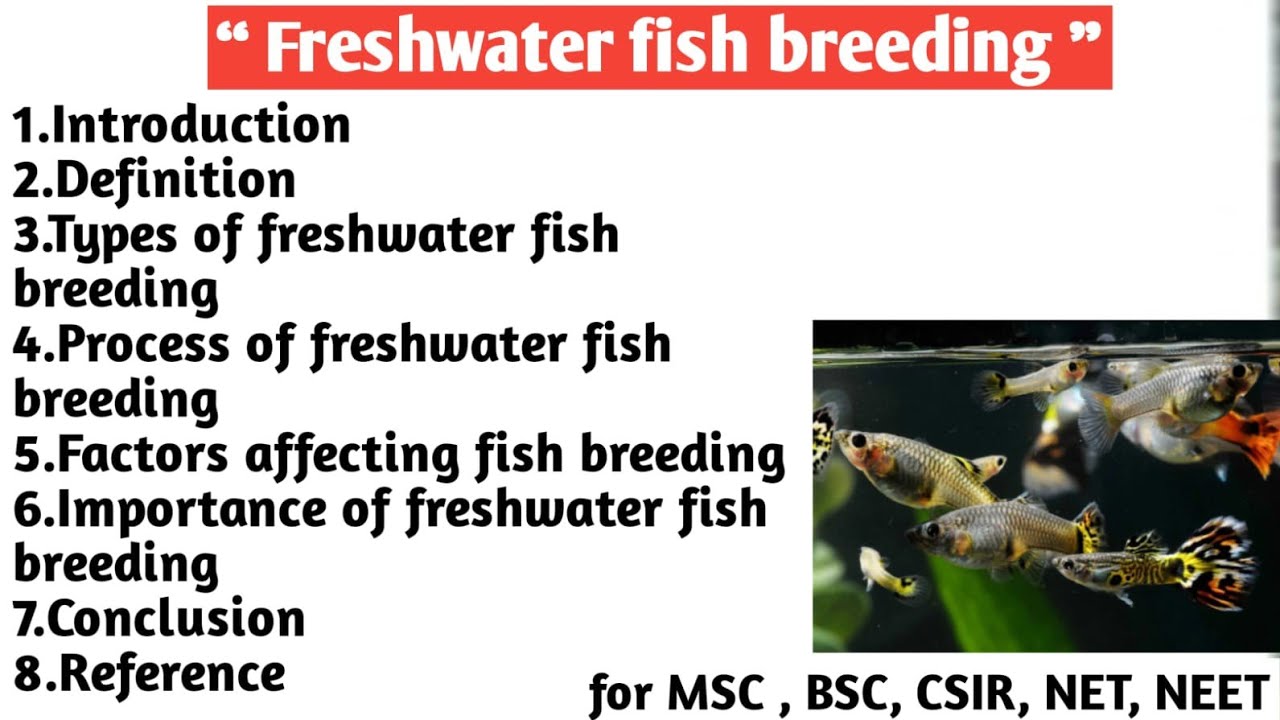 Fish Breeding Method Freshwater fish breeding | Type | Process | Factor affecting ...