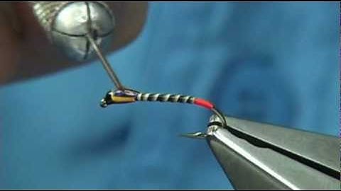 Tying the Red Butt Quilled Buzzer with Davie McPhail.