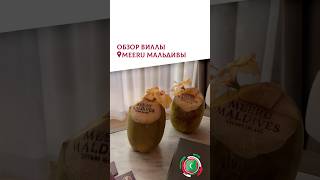 Обзор нашего отеля #отель #мальдивы #hotel #maldives #trend #тревелблог