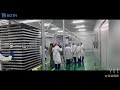 In situ freeze dryer