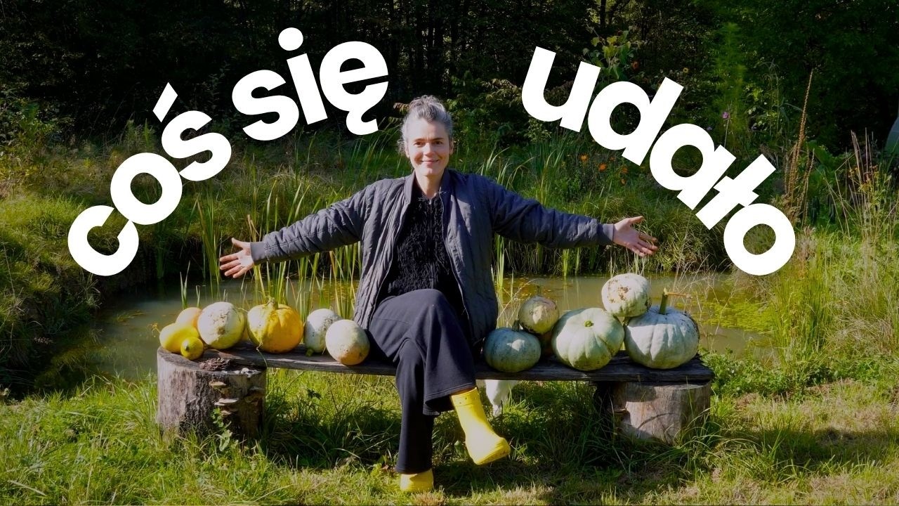 Wspaniałe zbiory dyni | Kompletnie zielone pomidory | Koniec sezonu