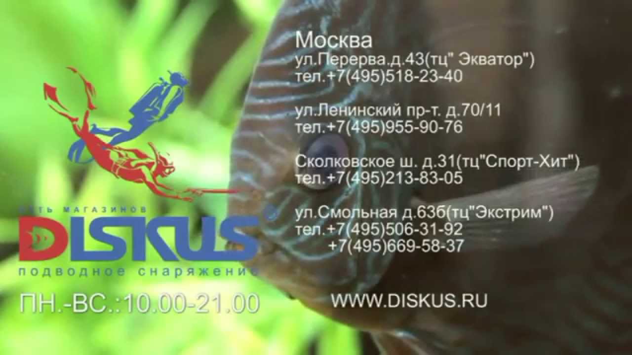 Ласты Cressi PRO STAR