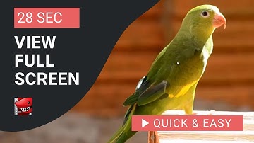 Lightworks Tutorial: How to View Full Screen in Lightworks