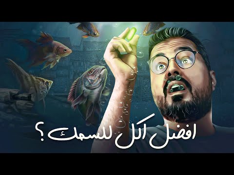 أشهر 5 أنواع من أكل سمك الزينة المميزات والعيوب