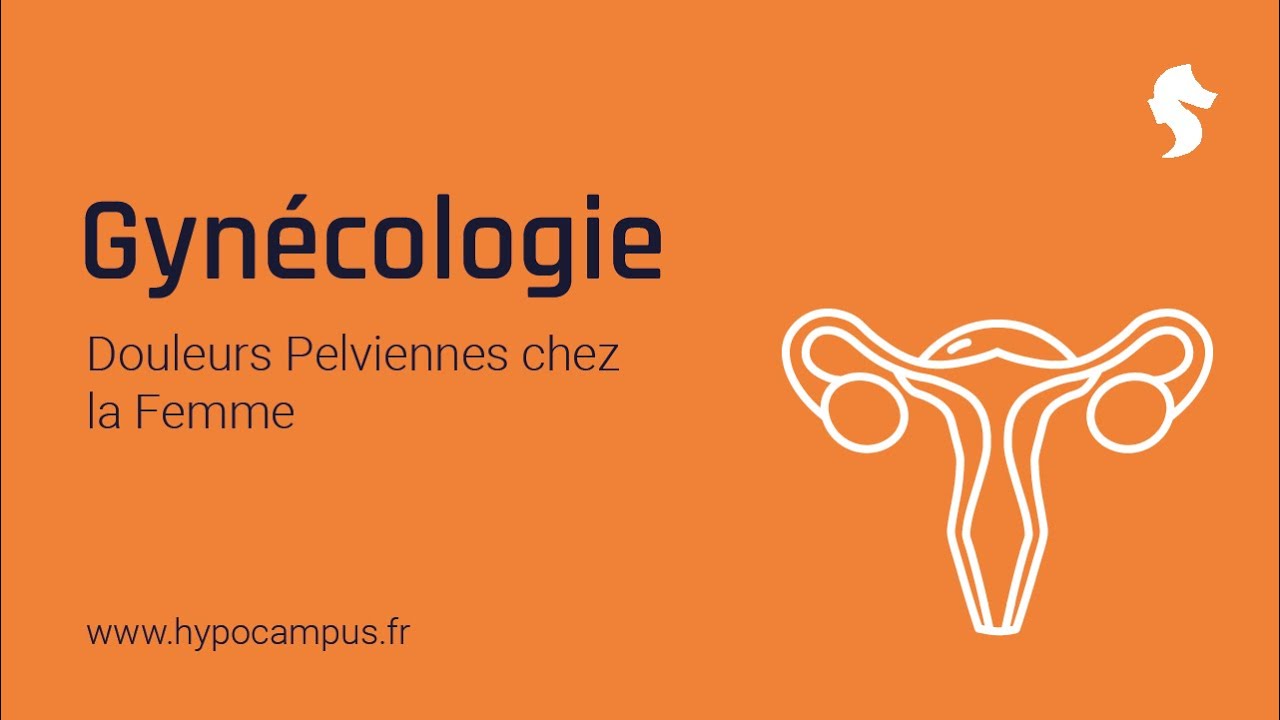 Masterclass de Gynécologie sur les Douleurs Pelviennes chez la Femme