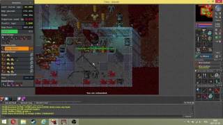 Tibia 251 MS trying to get a TIN KEY  :)