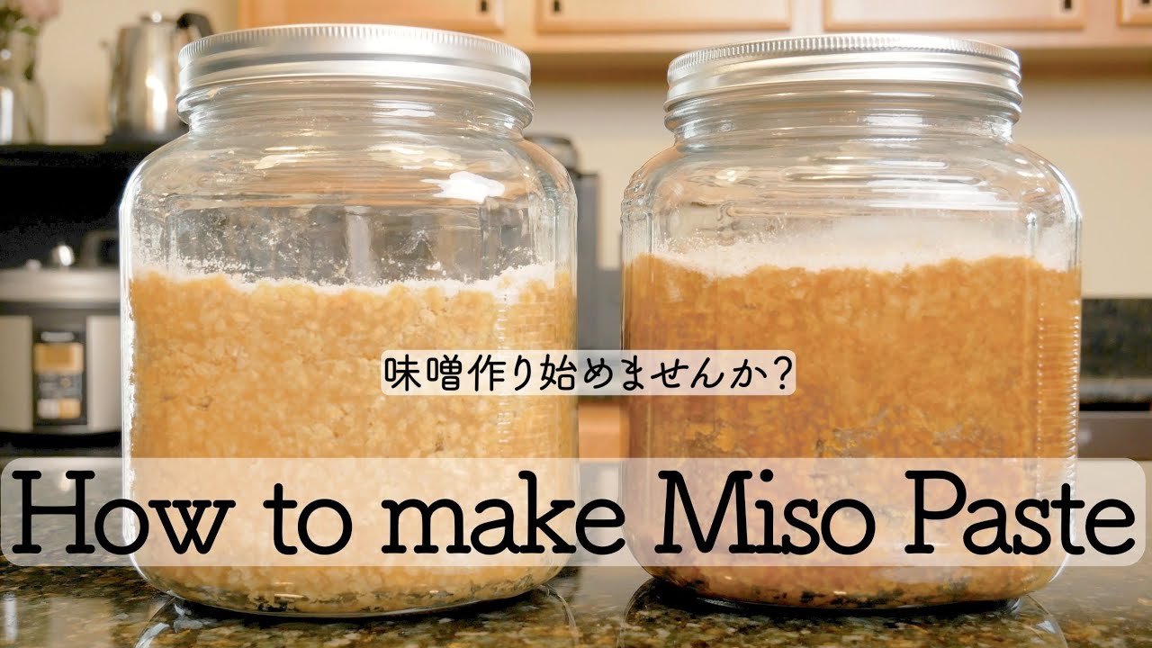 Japanese Misopaste アメリカで味噌作りを楽しもう Youtube