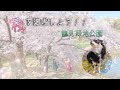チワワ、大阪鶴見緑地公園の桜を満喫する