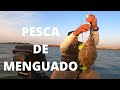 PESCA DE FLOUNDER / PEZ MENGUADO CON CAMARON ARTIFICIAL