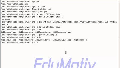 JNI (Java Native Interface)