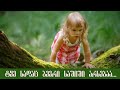 2 წლის გოგონა ტყეში დაიკარგა სადაც ბევრი მტაცებელი ბინადრობს,მას 2 დღე ეძებდნენ...