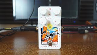 Video thumbnail of "Electro Harmonix Canyon Delay & Looper - 10 fantastic delay sounds!"