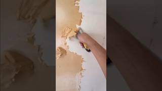 #WallpaperRemoval #DIYHomeProject #HomeRenovation #PaintingPrep #WallRepair #HomeImprovement #shorts