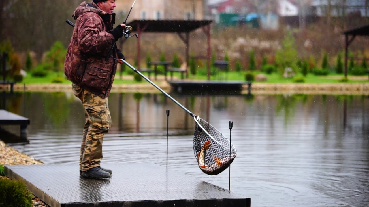 Ловить рыбу в городе. Рыбалка на пруду. Платная рыбалка. Платный водоем для рыбалки. Рыбалка на платных прудах.