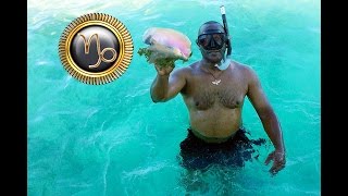 Capricorn General Forecast August 8-14, 2016