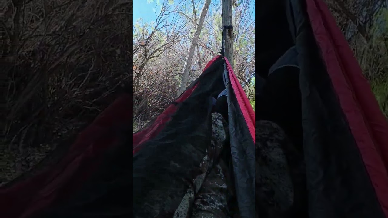 Taking a break from hunting to enjoy the sounds of nature 🌸🐺 #hunting #builtforadventure