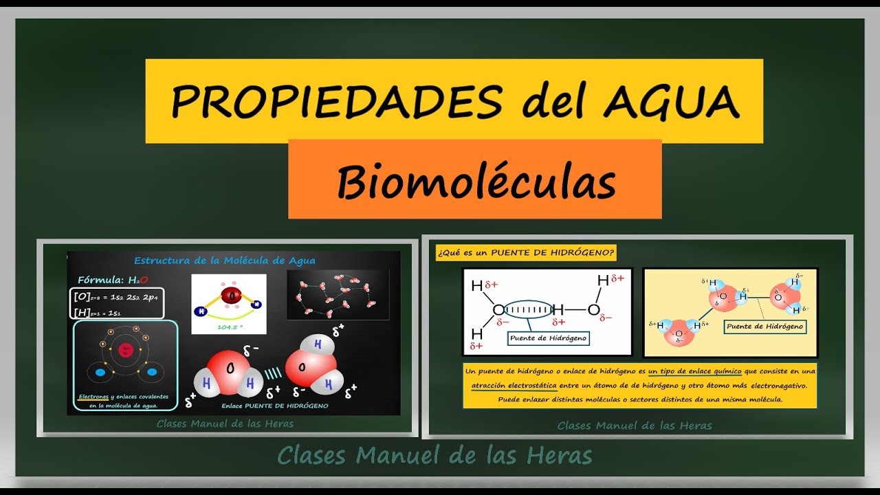 Propiedades del Agua. Biomoléculas. Biología 2 Bachillerato. Bioquímica