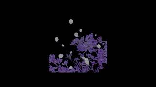 Nct U  Round  Round speed Up 