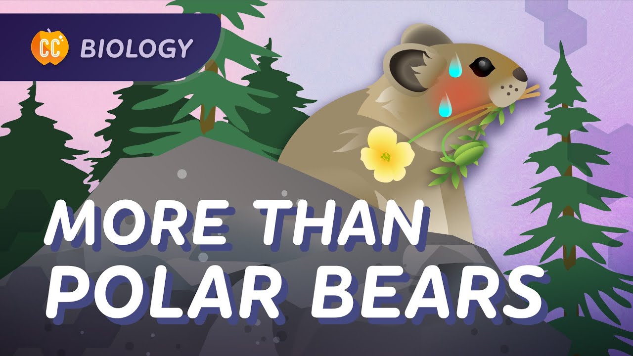 The Effects of Climate Change: Crash Course Biology #9