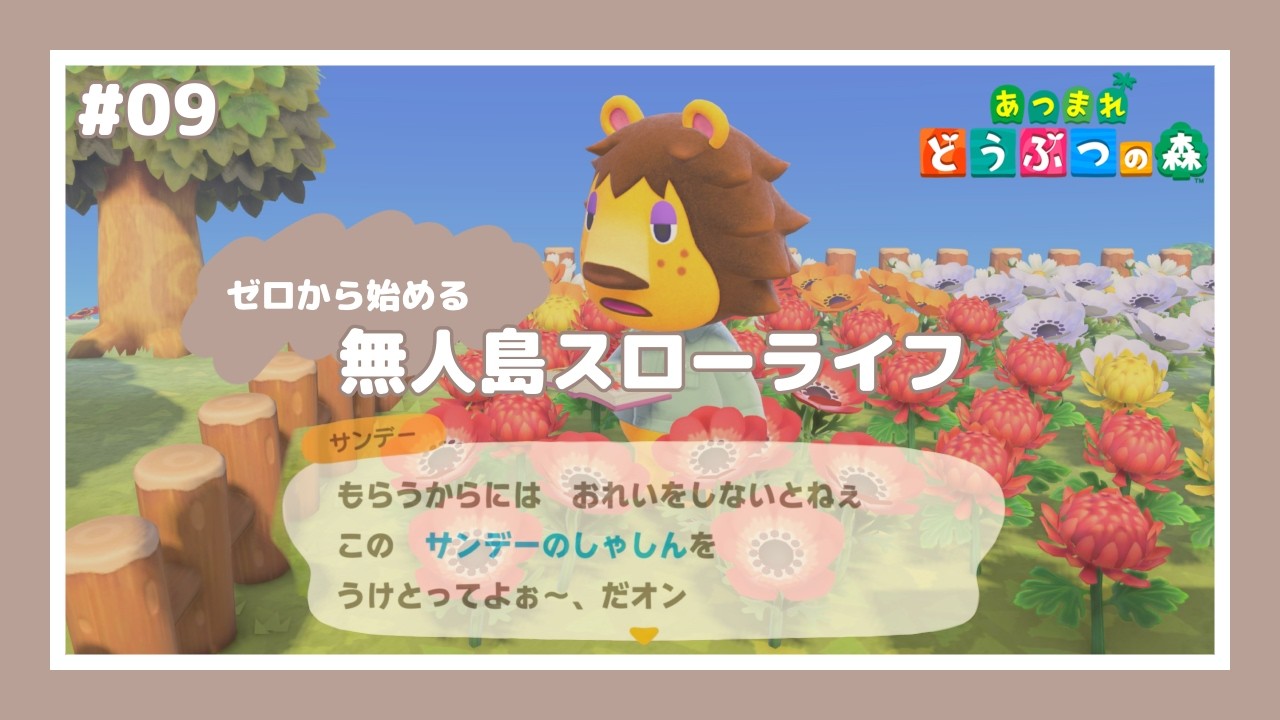 【 あつ森 】 #09 ┊︎みんなの写真欲しい【 びすけっ島 】【 LIVE配信 】【 サブ島 】